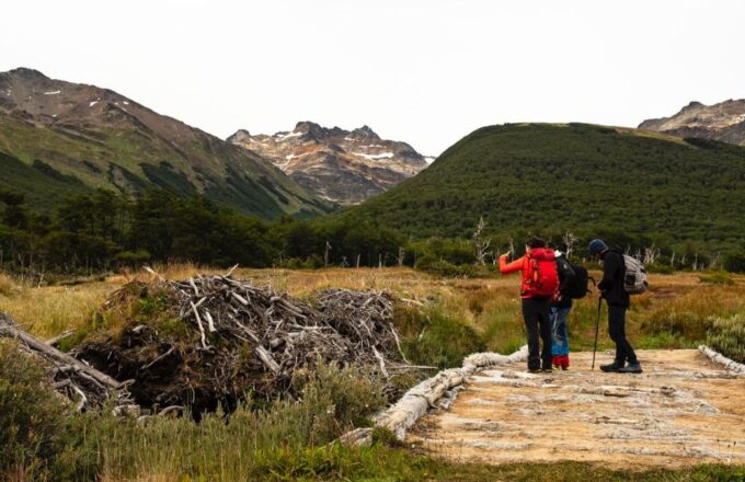 Discover Tierra Del Fuego National Park - Additional Activities in the Park