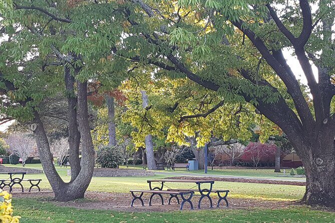 Discover Toowoomba Tours - Authentic Experiences and Genuine Value