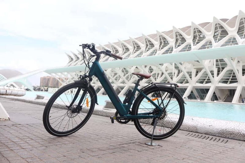 Discover Valencia by bike  Dutch-speaking tour - Who Is This Tour Best For?