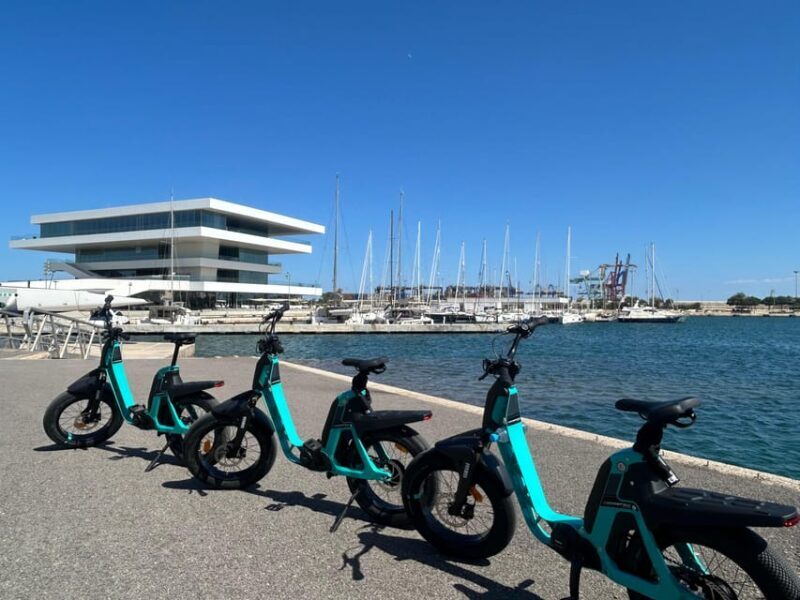 Discover Valencia by bike  Dutch-speaking tour - FAQ