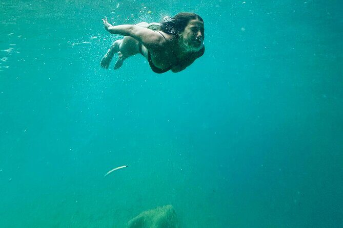 Discover Valencia's Magical Nature - The Sum Up