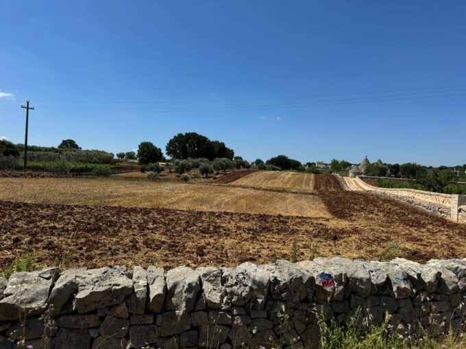 Discover Valle DItria - Gourmet Picnic Option