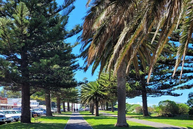 Discover Victor Harbor Walking Tour - Introduction: A Short but Sweet Introduction to Victor Harbor