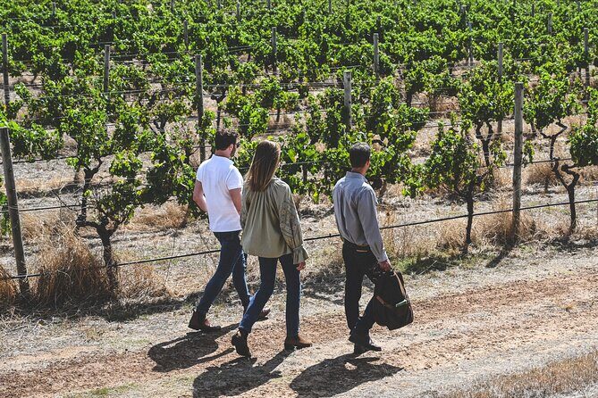 Discover Voyager Tour and Wine Tasting - An In-Depth Look at the Discover Voyager Tour