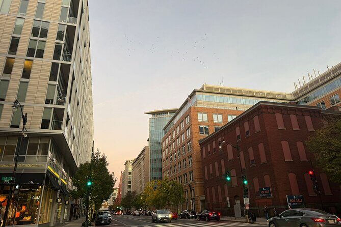 Discover Washington DC from New York City - The Experience in Detail