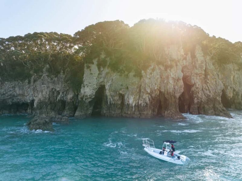 Discover Whangamata - Boat Tour - Who Will Love This Experience?