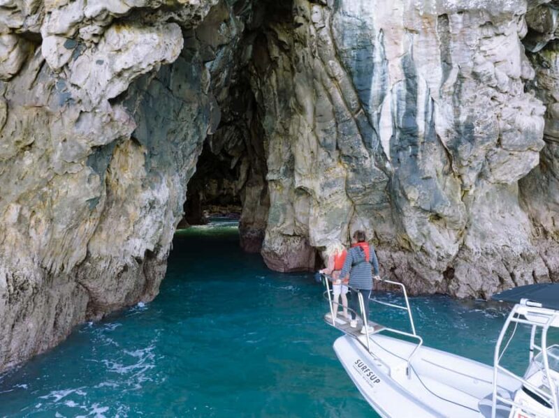 Discover Whangamata - Boat Tour - What to Expect on the Tour