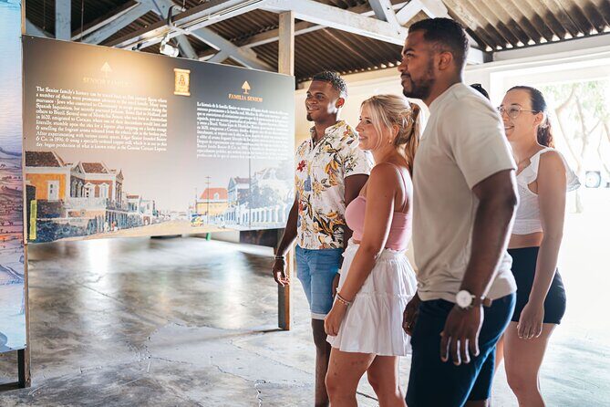 Discover Willemstad & Lunch ( Half day tour) - Who Will Love This Tour?