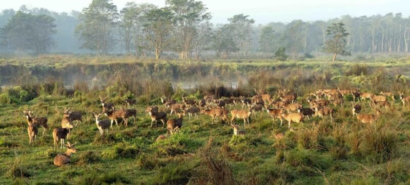 Discover World Heritage Site and Chitwan National Park Tour - Detailed Itinerary