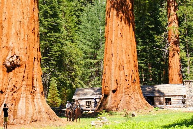 Discover Yosemite Tour Review: Unforgettable Adventure - Gratuities and Tipping