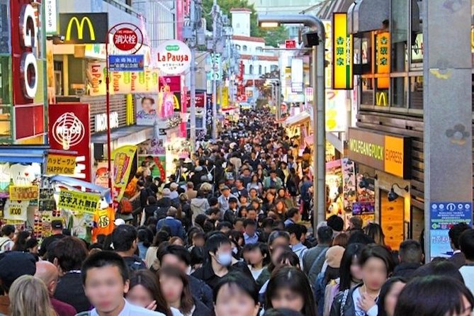 Discover Your Tokyo -Private Tokyo Customized Walking Tour- - Experiencing Shibuya Crossing