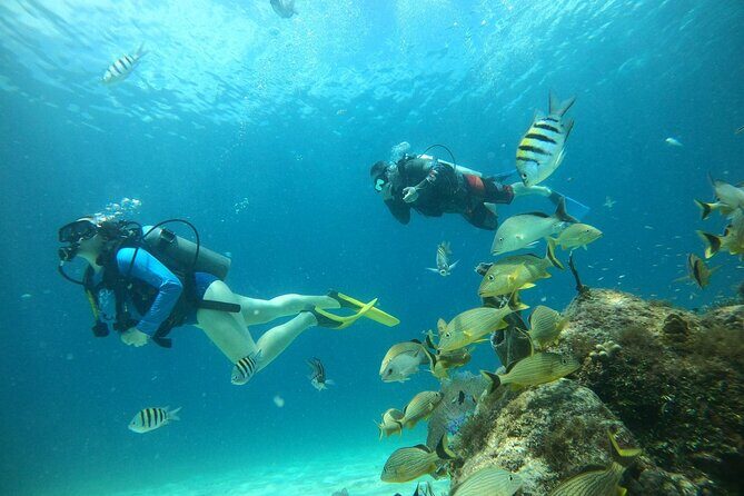 Discovering Diving in Chankanaab Park - A Closer Look at What This Tour Offers