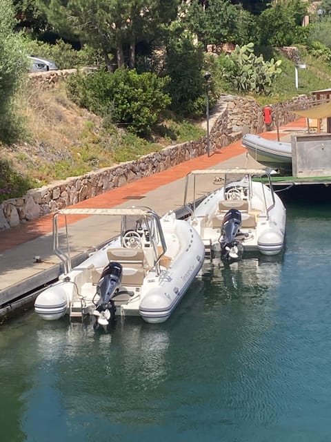 Discovering Mortorio Island With Capelli 6 Met. All Incl. - Meeting Point and Directions