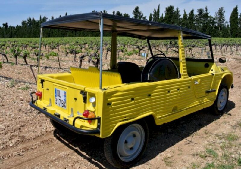 Discovering Provence in a Méhari - Key Points