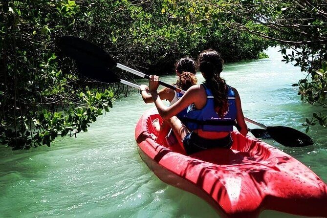 Discovering Sisal All Inclusive - Who Should Consider This Tour?