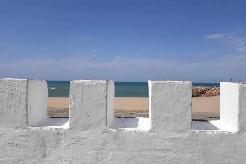 Discovering Tangier and Asilah: A Full-Day Adventure - Wandering Through Parc Perdicaris
