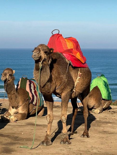 Discovering Tangier and Asilah: A Full-Day Adventure - Admiring the Cap Spartel Views