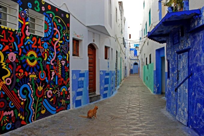 Discovering Tangier and Asilah: A Full-Day Adventure - Discovering the Asilah Medina