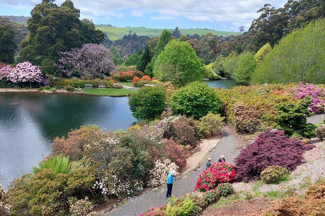 Discovering Tasmania: Burnie Shore Excursion - Introduction: A Solid Choice for Tasmanian Shore Explorers