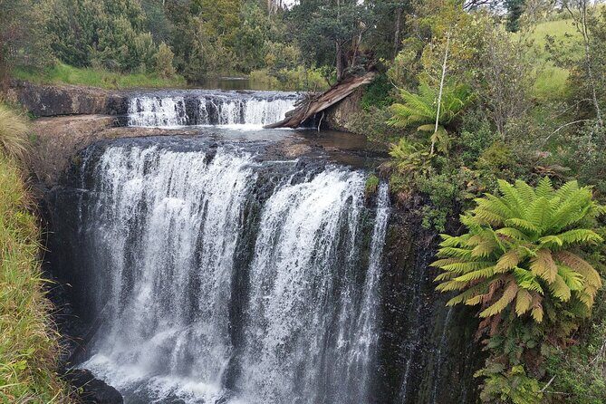 Discovering Tasmania: Burnie Shore Excursion - Who Would Love This Tour?