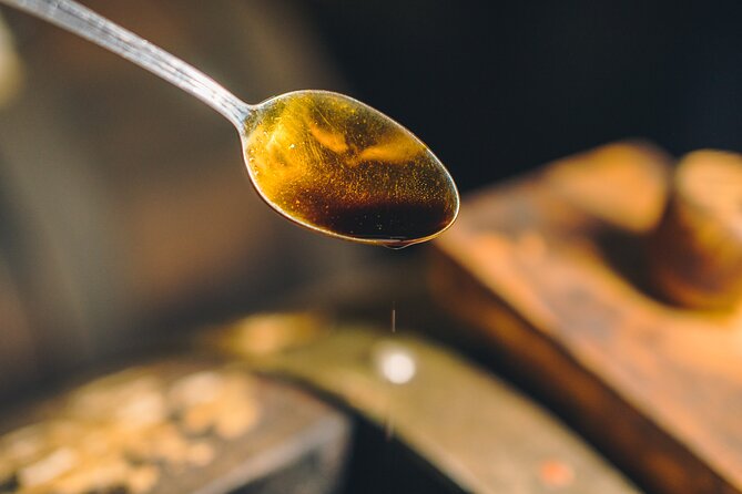 Discovering the Balsamic Vinegar of Modena! - Infants and Additional Arrangements