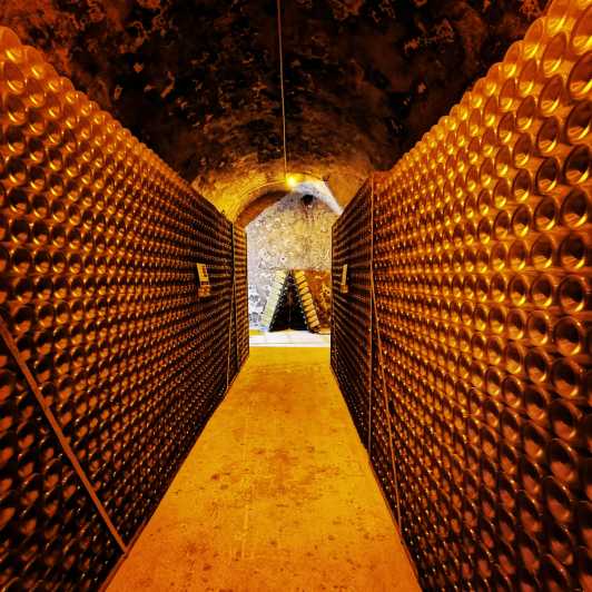 Discovering the Didier Herbert Estate - Key Points