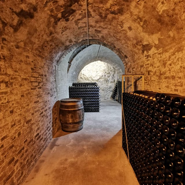 Discovering the Didier Herbert Estate - Premier and Grand Cru Vineyards