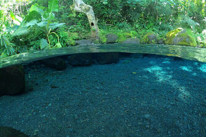 Discovering the emblematic sites of Tahiti - Final Thoughts: Is This Tour Worth It?