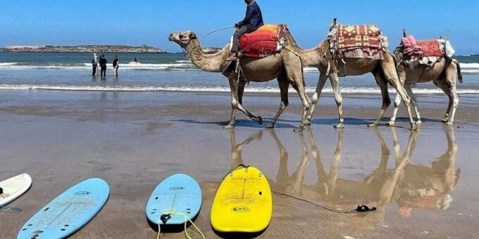 Discovertangier: Day Trip From Tarifa With Camel Ride &Lunch - Frequently Asked Questions