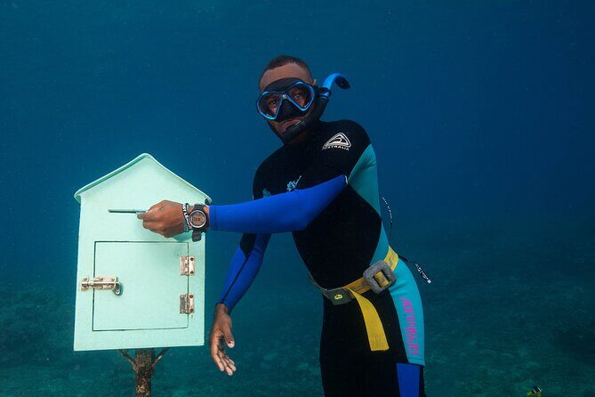 Discovery Bush Walk from Port Vila - Who Will Enjoy This Tour?