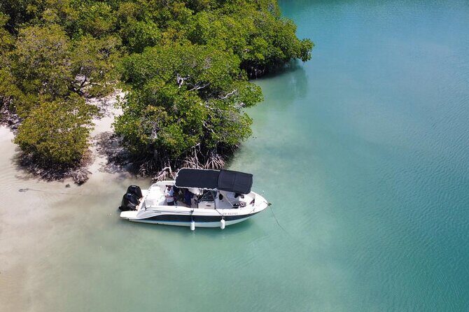 Discovery day at La Baignoire de Joséphine on the windward side - A Closer Look at the Experience