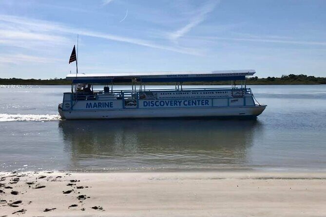 Discovery Dolphin Boat Tour - Discovery Dolphin Boat Tour: A Closer Look at Florida’s Natural Wonders