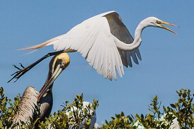 Discovery Dolphin Boat Tour - Final Thoughts