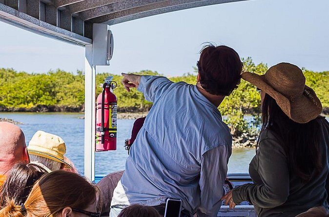 Discovery Dolphin Boat Tour - FAQs