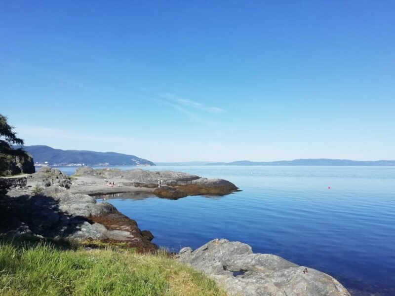 Discovery hike along the Trondheimsfjord - An In-Depth Look at the Discovery Hike Along the Trondheimsfjord