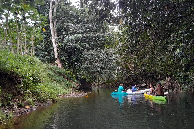 Discovery in Kayaking of the Faaroa River in Raiatea - The Sum Up