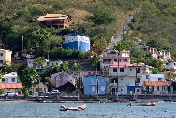 Discovery of Dolphins on the Caribbean Coast - Scenic Cruise Highlights
