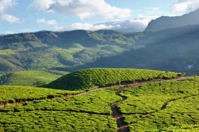 DISCOVERY OF KERALA_07 DAYS - The Sum Up