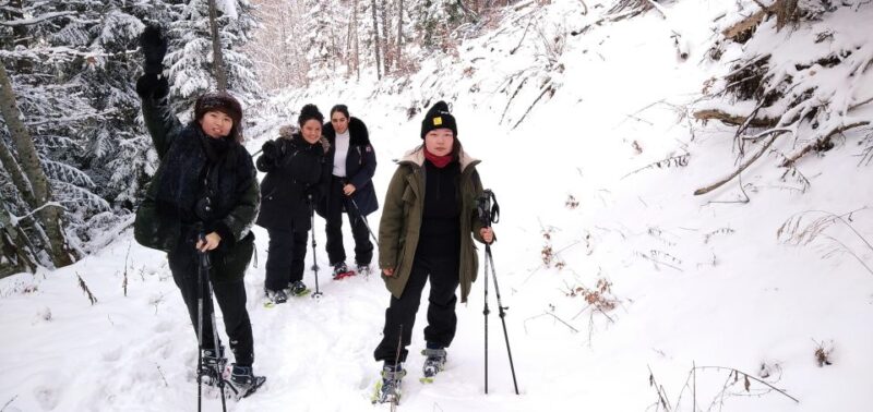 Discovery of the Snowy Vercors in Snowshoes - Booking and Cancellation Policy