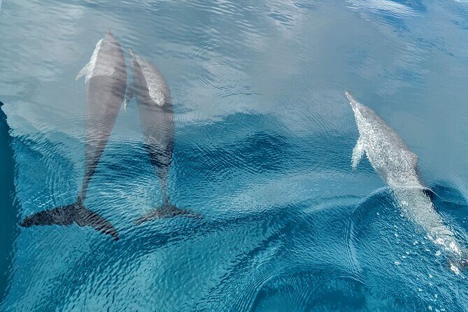 Discovery of the Tahiti Teahupo'o Jurassic Tour peninsula - Final Thoughts