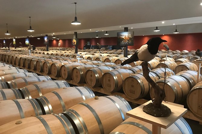 Discovery of the Vineyards and Castles of Sauternes by Bike - Savoring the Local Cuisine