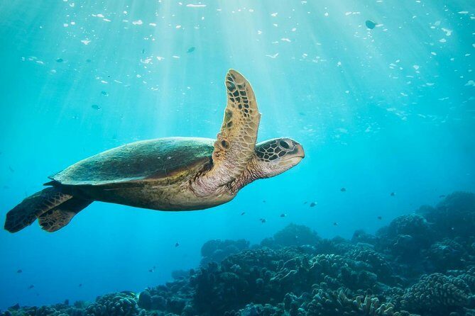 Discovery Program - What Travelers Say