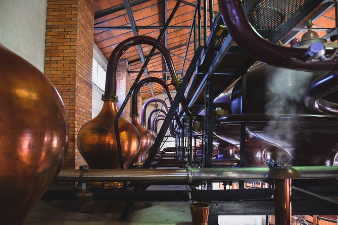 Discovery Tour Braastad Cognac - Availability and Cancellation Policies