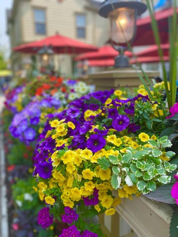 Discovery Tour: From Niagara Falls to Niagara-on-the-Lake - FAQ