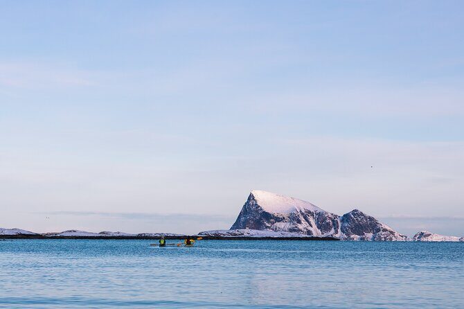 Discovery tour of the island of Senja and Kvaløya from Tromsø - An In-Depth Look at the Tour
