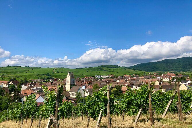 Discovery Vineyard - The Sum Up