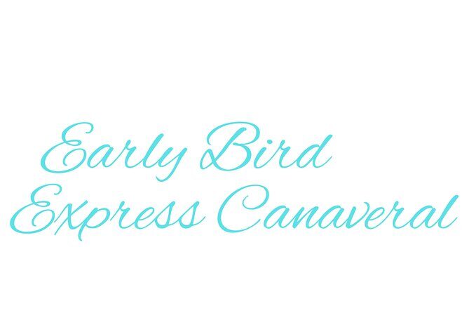 Disney World to Disney Cruise Line Private Transportation - Frequently Asked Questions