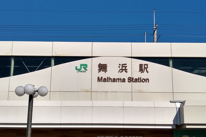 Disneyland/Sea Ticket & Private Morning Ride From Hotel in Tokyo! - Pickup Details Requirement