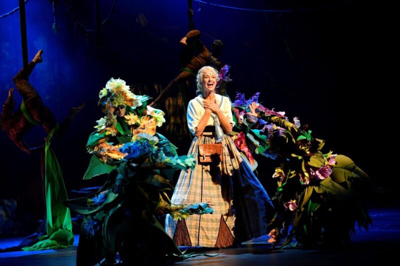 Disneys Tarzan Musical - Venue and Production Elements