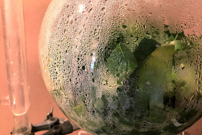 Distillation of Okinawa Herb Essential Oil and Herbal Water - Practical Information and Booking Details